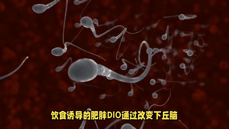 澳门正版资料大全更新,腾讯元宝入驻微信九宫格,典故解疑_钻石版V2.37
